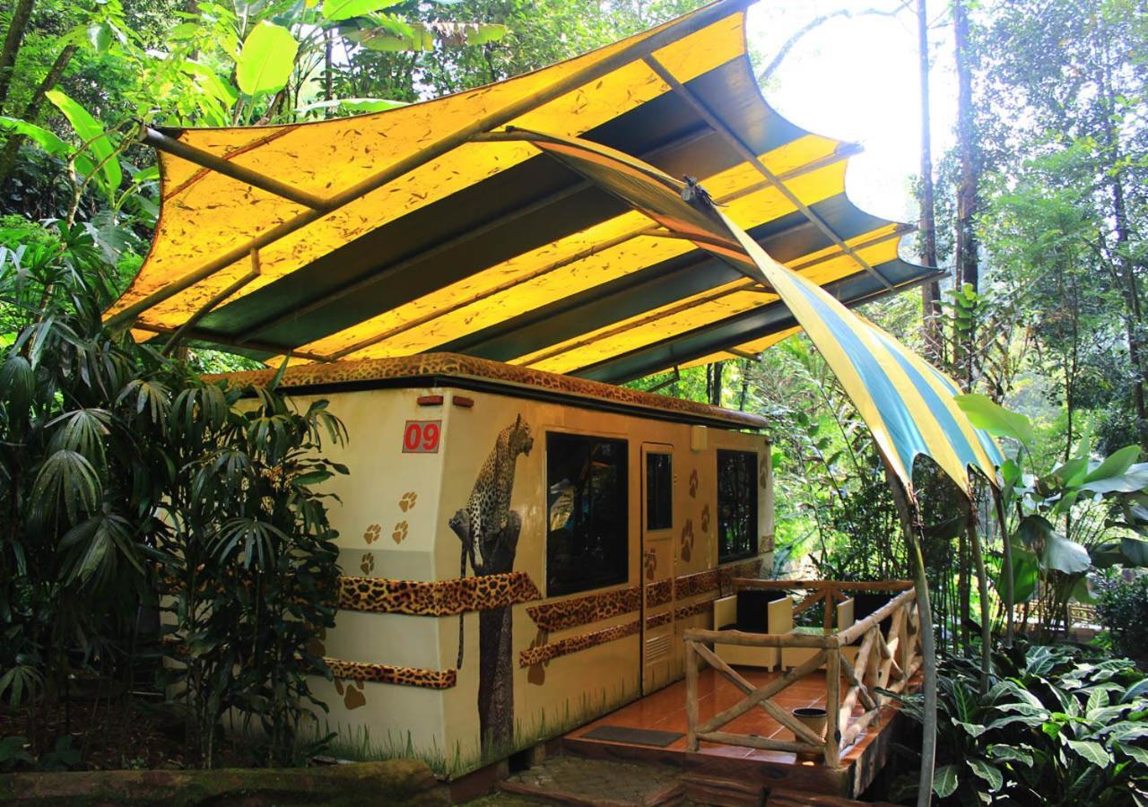 Safari Hotel 3*